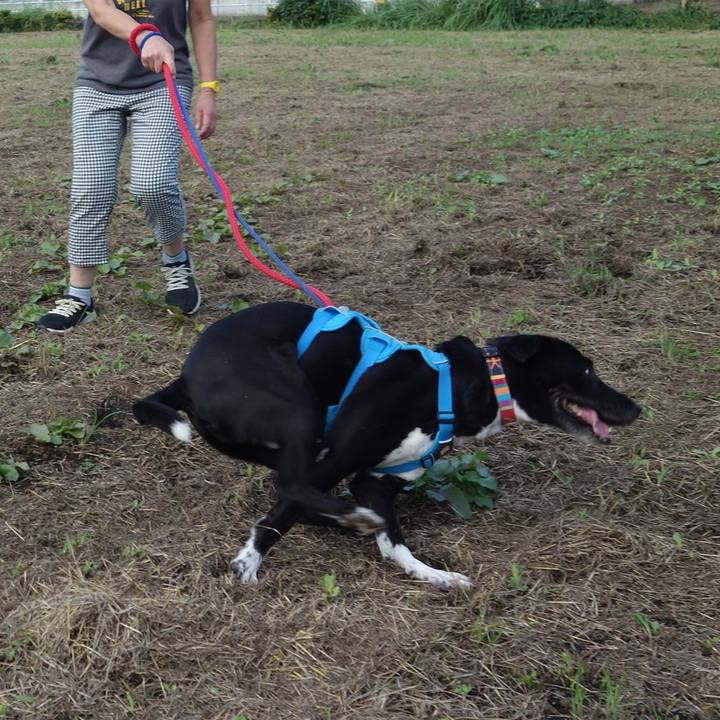 Eb420647 3ccb 477d 80c2 da8ea0e362d0 1631752487976