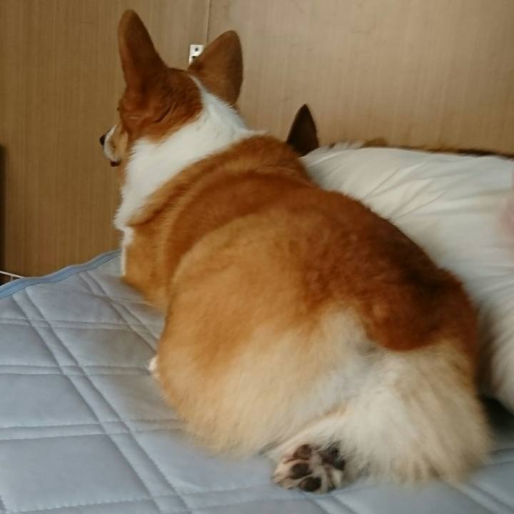 Eb421e99 b9c5 4a0d 865b 3e22d09490cd 1526284355146