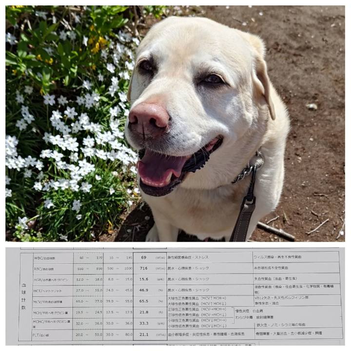 Eb422f67 1bb1 40ee 9c8a 27907918a1e3 1744713303399