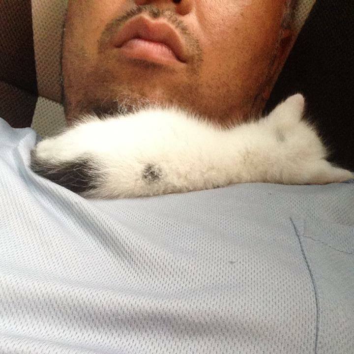 Eb423591 8b6b 450f 8bfa 7252afcc88df 1530847593753