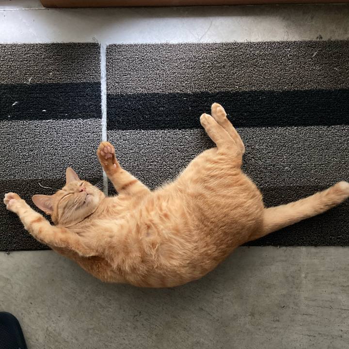 Eb42903b 40cf 4326 b246 78b96fe8010a 1658462841333