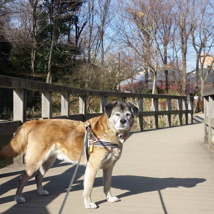 Eb42a568 ea0f 49f1 8abe a63ce0f79e49 1659485385167