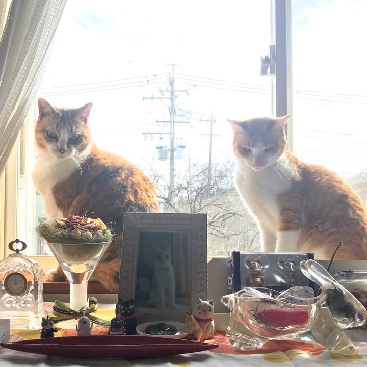 Eb42a893 4a5a 41e8 9783 a7da69baa5a5 1583030945098