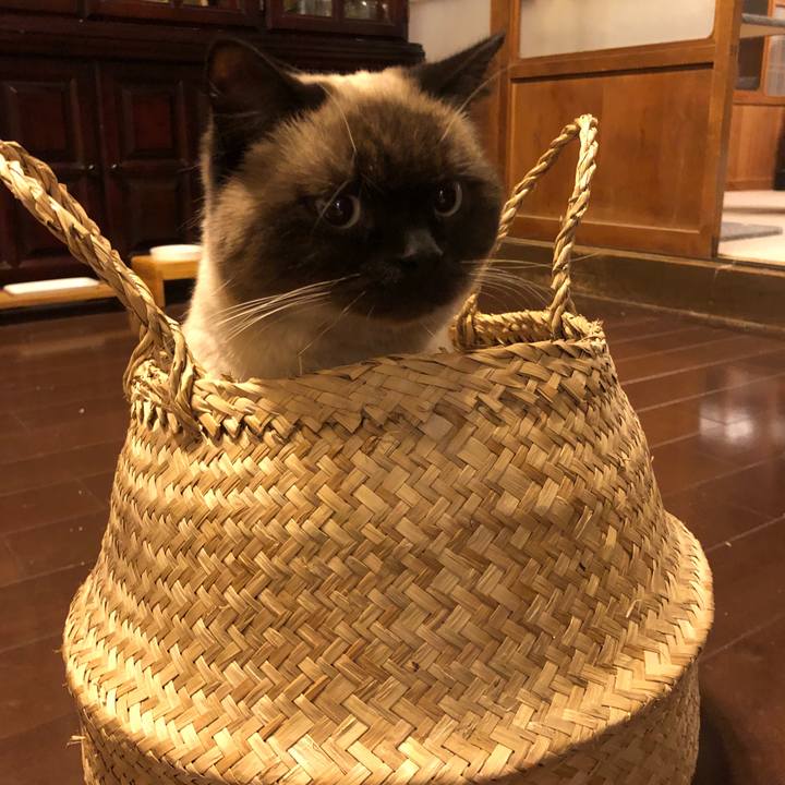 Eb42d9da 36bf 4506 ae8b 173fb9c4b00c 1610626582666