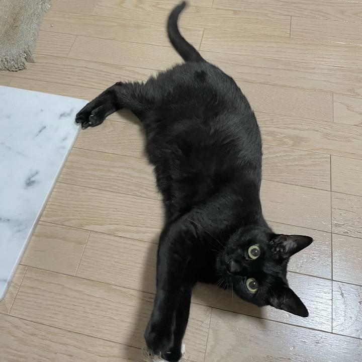 Eb42f7c7 4319 45a5 853c 871808aa0c99 1657883925429