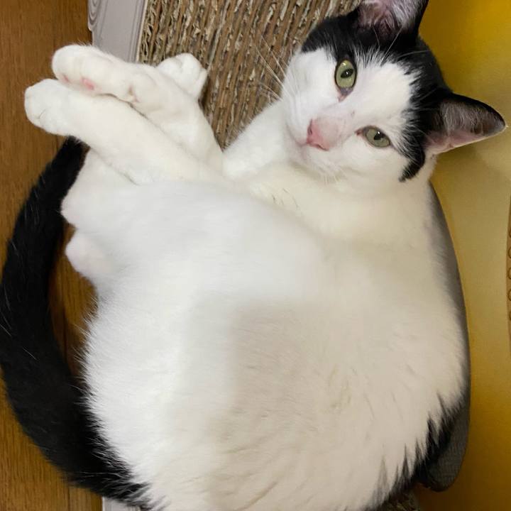 Eb430677 3e9a 4a4f 84e9 ebdbefe35769 1657883004876