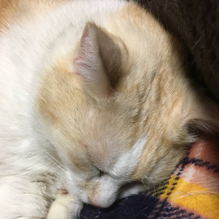 Eb430855 8210 47d0 b444 433c57964c11 1515845748966