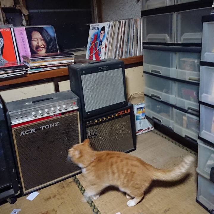 Eb430e6c abdd 4d28 bbe1 bb046523a85c 1605953324738