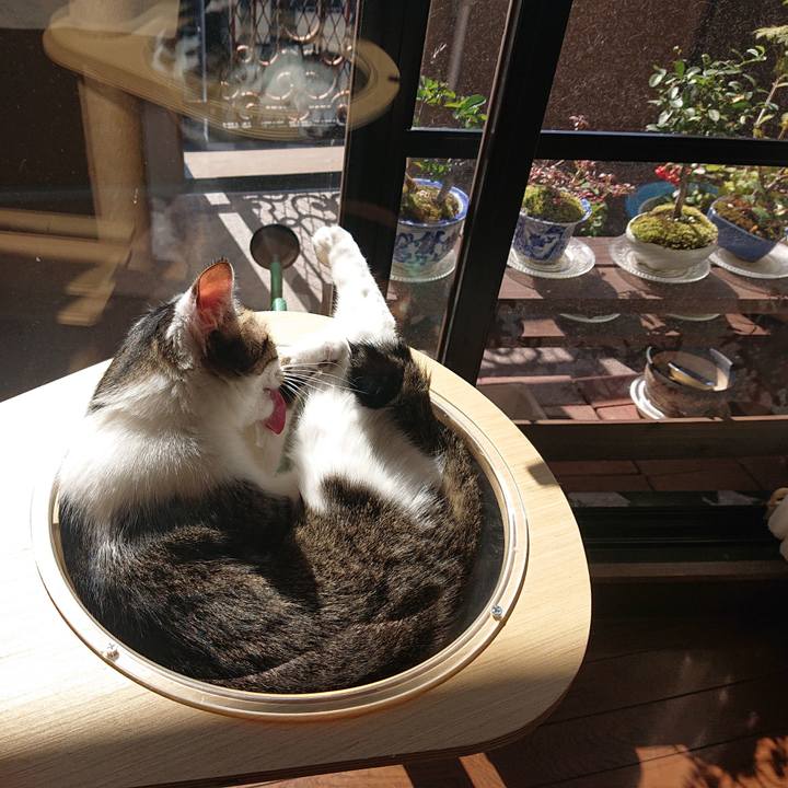 Eb4328c8 e89a 45e7 ba1d c98dbcf7b962 1667534539574