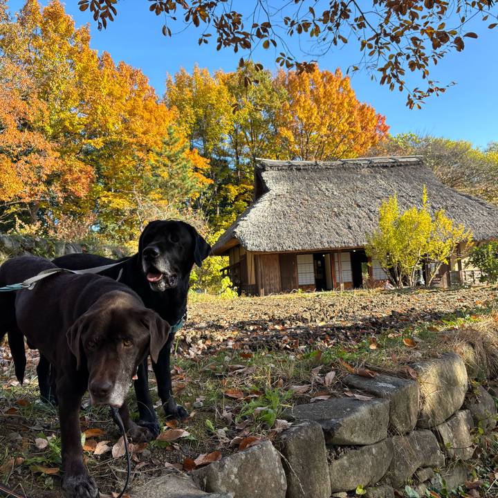 Eb4346b5 262e 4626 baf5 44d831870000 1764504313741