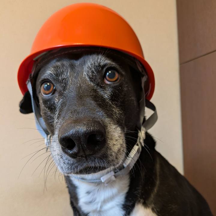 Eb437810 3a56 4d2f 9eb5 0c6039170b4c 1762568202842