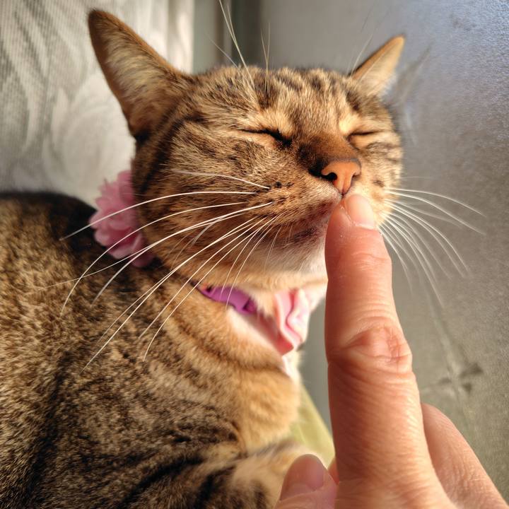 Eb439629 0bab 44a9 9835 3155eaf967fa 1764547699021