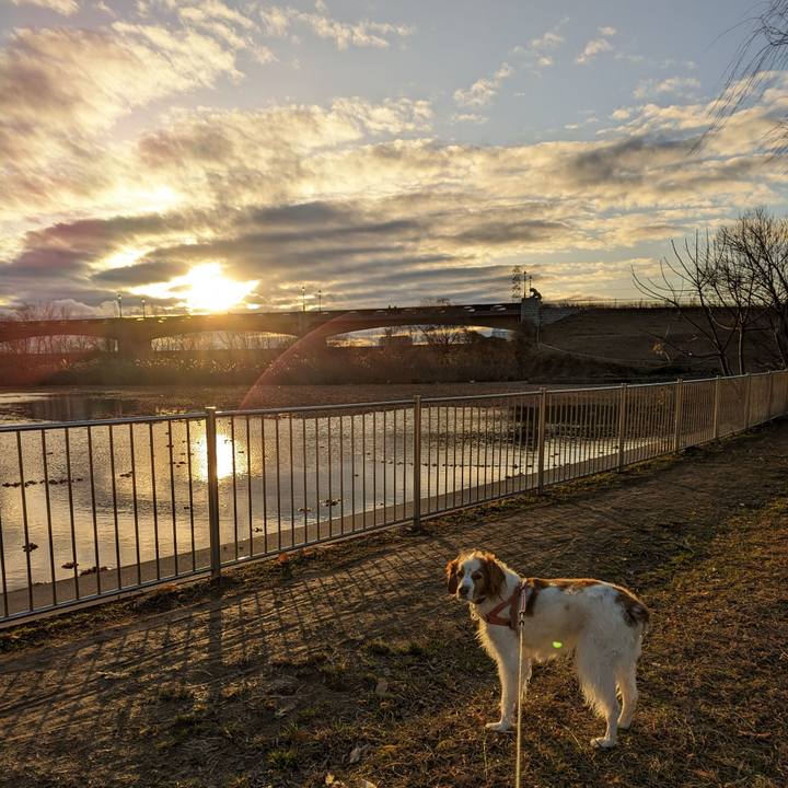 Eb43a86e 9cb8 49d8 a46e 571dd377aaaf 1673867752086