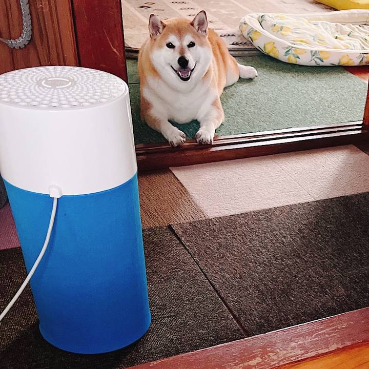 Eb43adc0 064a 48aa af96 ab74c55d90d9 1686289843158