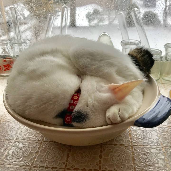 Eb43d204 ff82 47ff b090 3f1eebd2918a 1548303802516