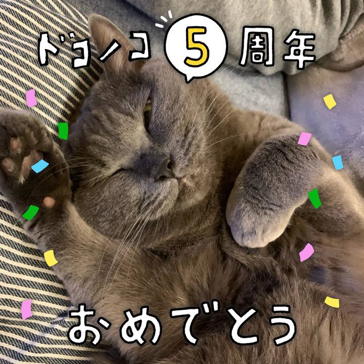 Eb43fc26 975b 4351 a98b 5db30b123d13 1623473659301