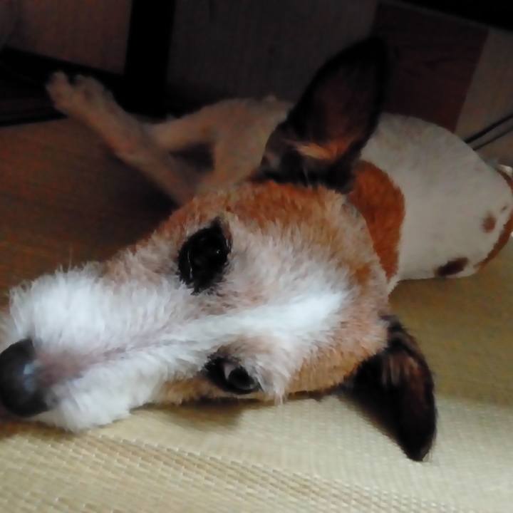 Eb441095 759f 4903 83ab e85245d3f86a 1535373388235