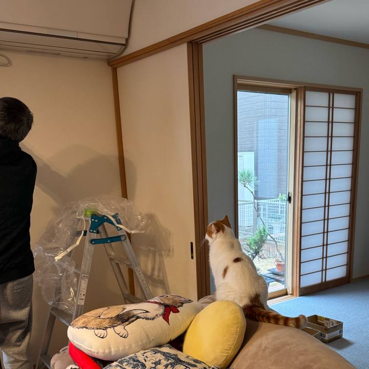 Eb4417b1 efb6 492c a576 8d650c1f7e6e 1766293527316