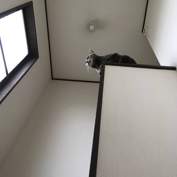 Eb443883 79d3 4ff7 89d3 b5f896eef2a4 1508038564271