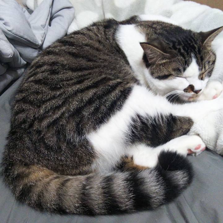 Eb445cff 2cd0 4ece 9f92 df10de70f2d2 1627114649912