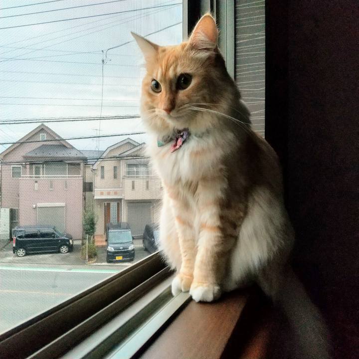 Eb448034 ecf9 444d a5ff 727f77c791de 1631829558617