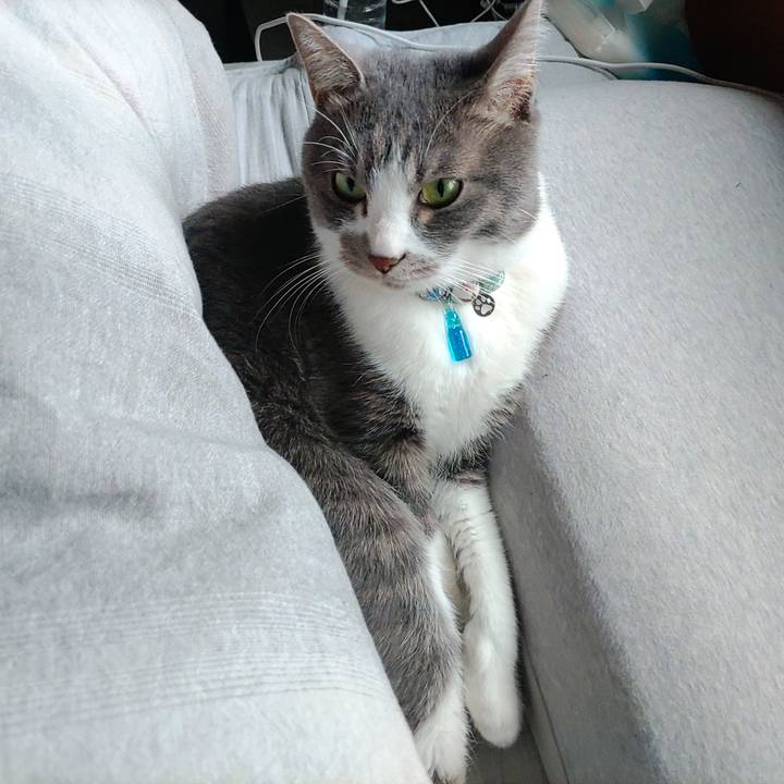 Eb44ab34 c0ae 4443 a7b8 5abc7426f01c 1673836464164