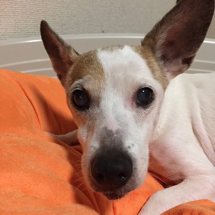 Eb44eba6 5494 4bf2 b983 ce0d504f47e3 1558787286593