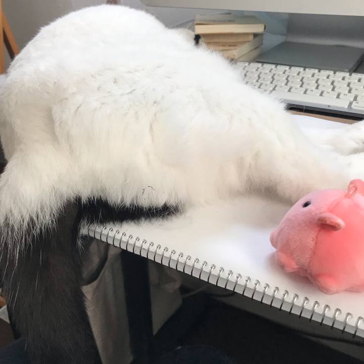 Eb45363c 7b26 4822 899c 897eb489a092 1569513158040