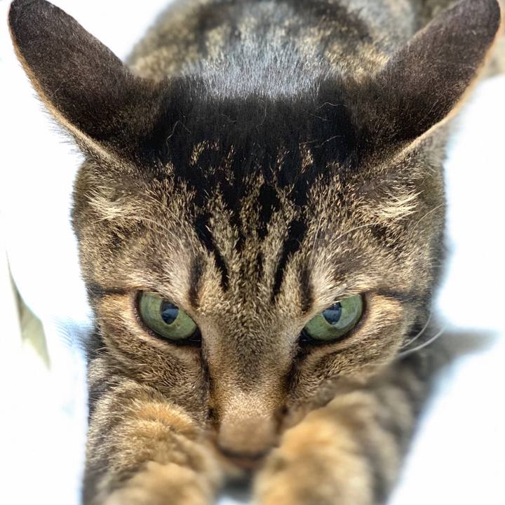 Eb453be6 1b12 4e0b 8339 f1a326311ae3 1564705222837