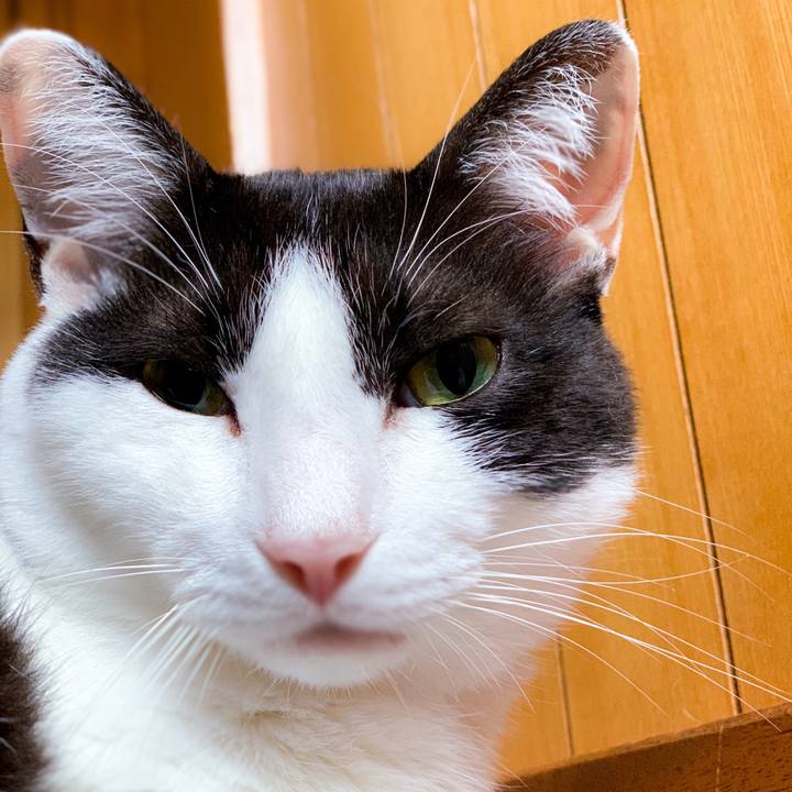 Eb455c08 8ded 494e b477 a27e4313a871 1563841175907