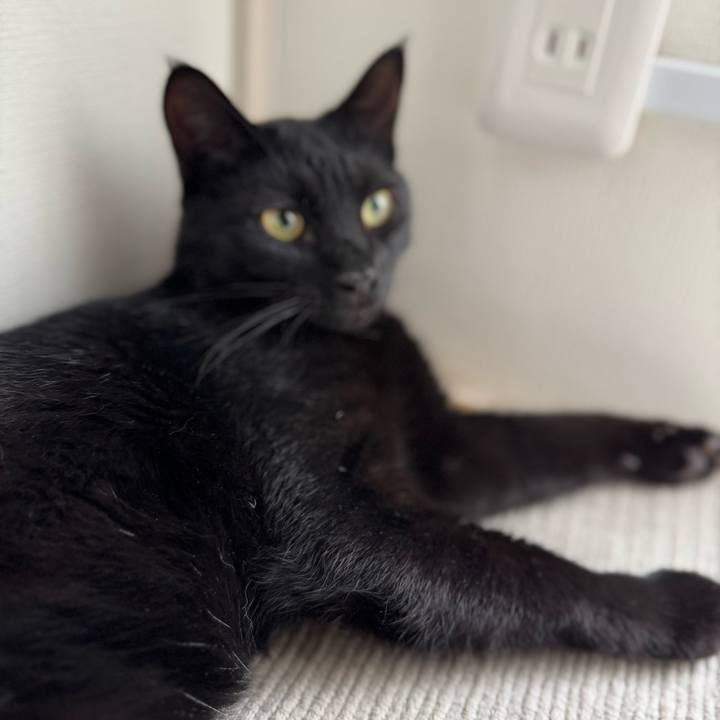 Eb4585bc 0542 46c2 8b96 40e062463ed5 1759967638778