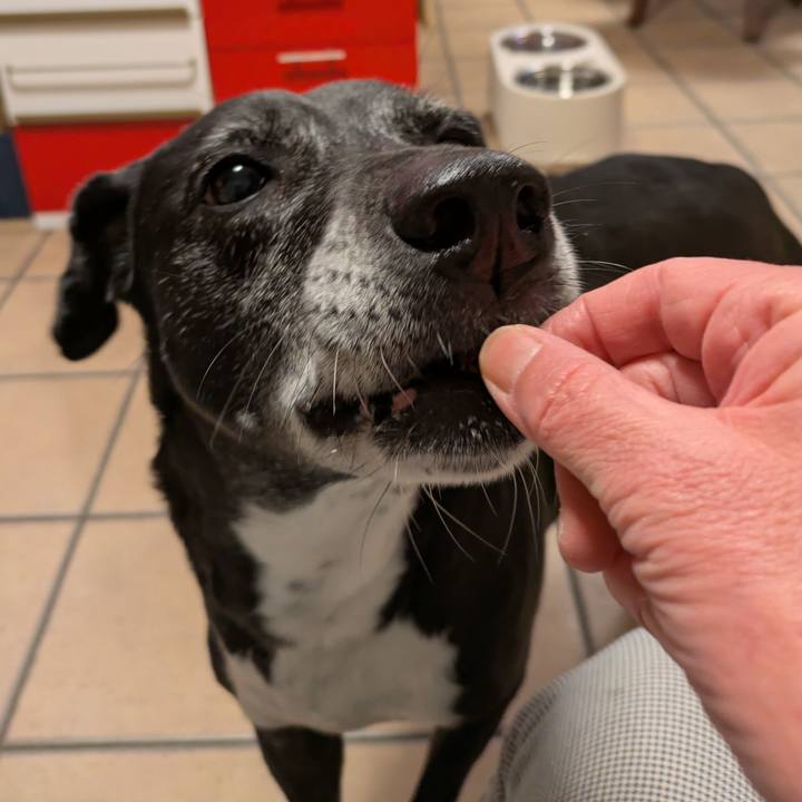 Eb45d26e 4ce1 4ac9 9ac8 bdcd45f2212d 1768921867059