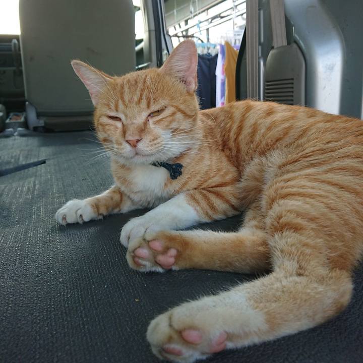 Eb45db6f 0469 472c b97c 3058a2e28e0b 1565080882887