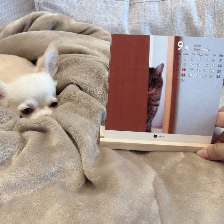 Eb46169a 154a 4610 9fe7 90898f8cdcb3 1725241603714