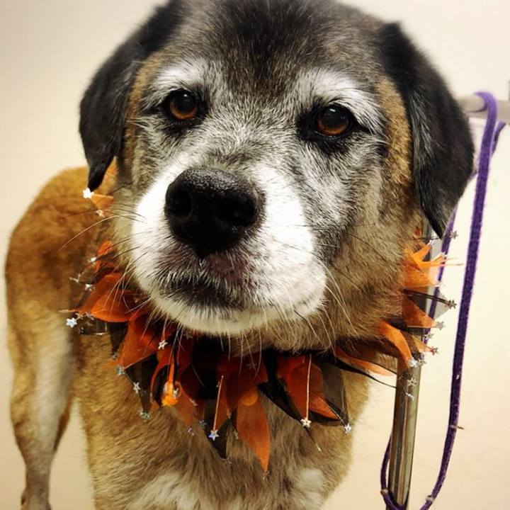 Eb46187e bb86 4da5 84cf af2b42006b1e 1537707530798