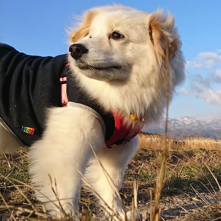 Eb46650b 0e8b 45e5 9448 598f73e01d8b 1521269218743