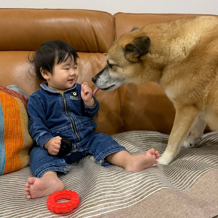 Eb466ab7 bf0f 4c08 8d2c 41581fff884b 1554986050465