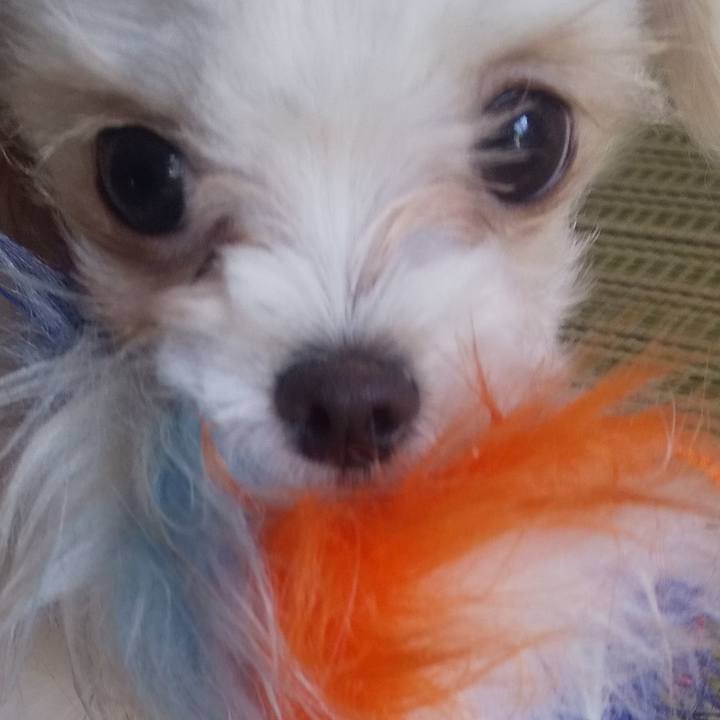 Eb46b20d f684 43e5 8777 65ec7034fb7e 1671412259015