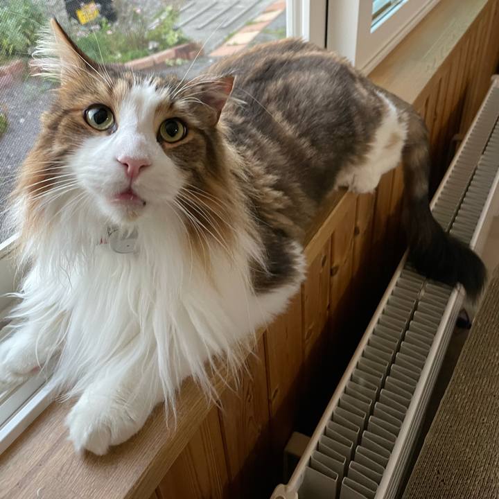 Eb46b851 f520 443e 85d4 d9862ea18d38 1691610586834