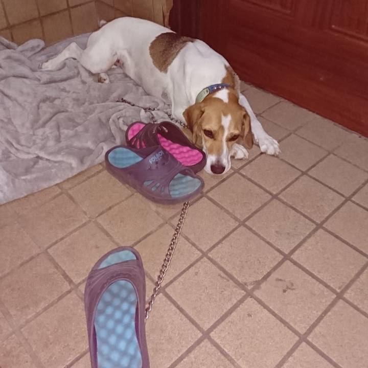 Eb46cdd8 82eb 492b 8fae 8704e4ee546f 1568722230723