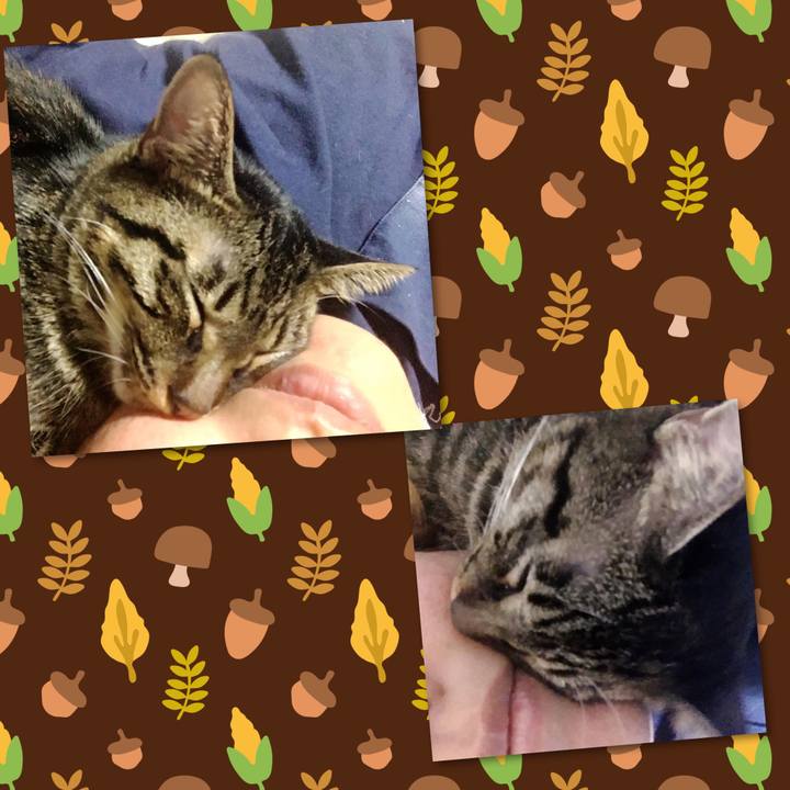 Eb46ee89 161c 4baf 8ced 7bbe8c5ccb2c 1570499665820