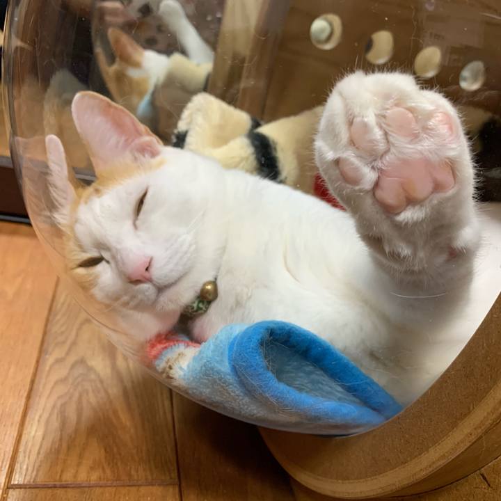 Eb46fb29 e6c6 4395 8886 d5b0b0801a73 1581082444494