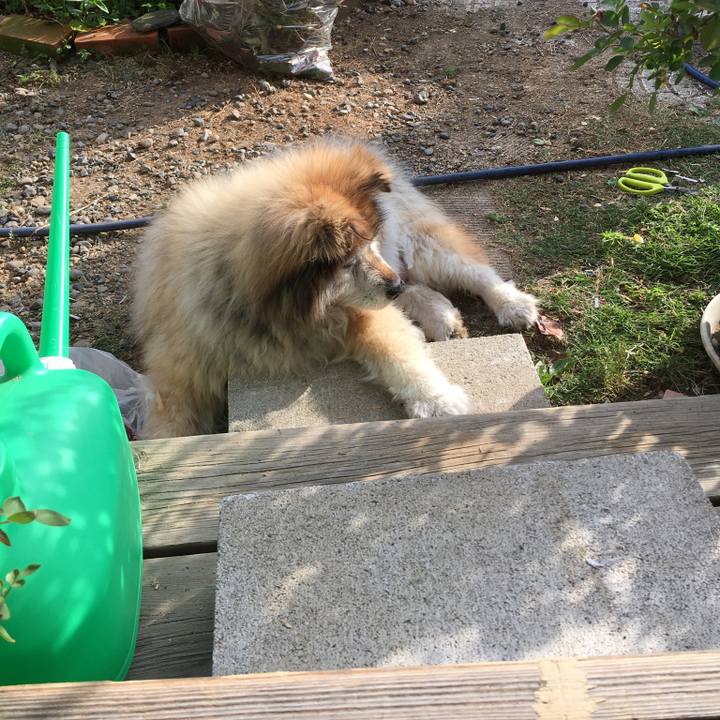 Eb4705b1 9a60 4414 9a4c 1cdb4c10acb0 1592025707575