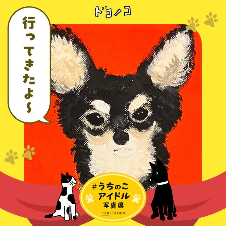 Eb474661 52b3 4a57 b0a7 d33e7e3c900f 1761834745147