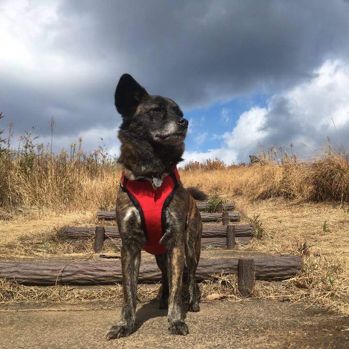 Eb476777 27af 4399 827d 3a0bd458eee8 1548334894622