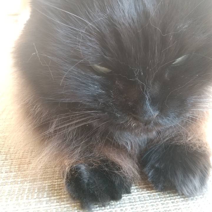 Eb4783b7 a7af 482d 943a 30c8ffe4a7f9 1635487114963