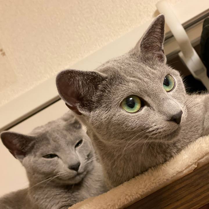 Eb478e3d 2ca8 4ad3 99b5 3c155744b4b0 1618145220759