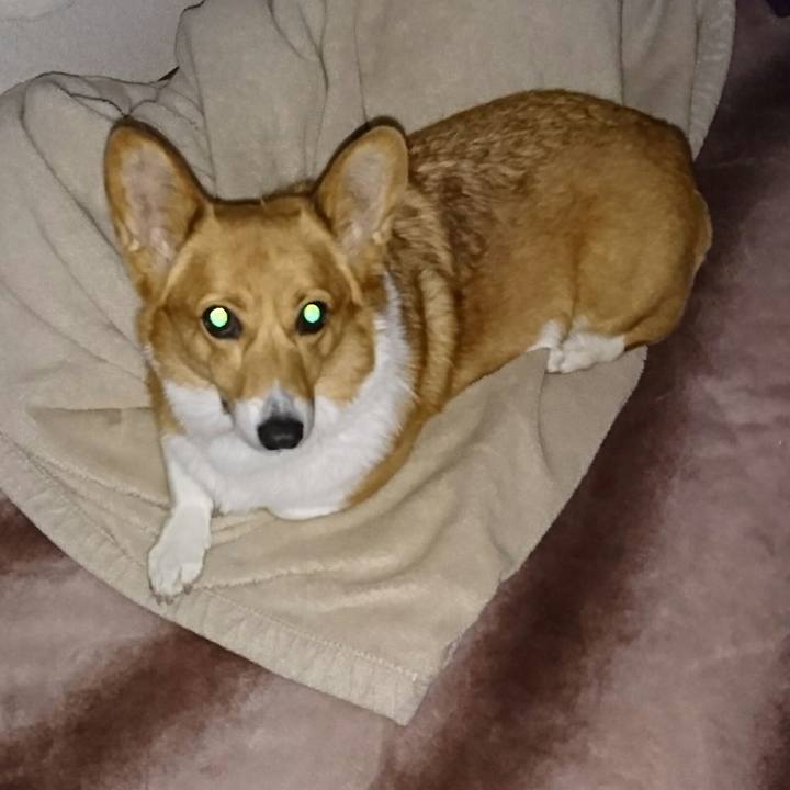 Eb478ec9 684b 4fac 8f76 f46c5234d705 1552837169025