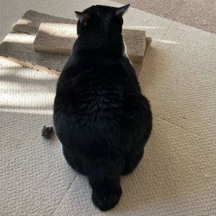 Eb4797b7 af8a 4067 9ca3 9fd946f19216 1761518185735