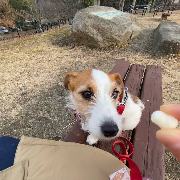 Eb47a024 194d 4f91 883f e77a950e49a0 1739685412557